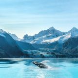 Alaska,Cruise,Travel,Glacier,Bay,Vacation.,Whale,Watching,Tour,Concept