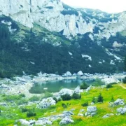 Alaska Cruise – Land Only