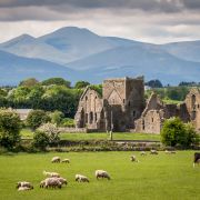 Ireland – With Airfare