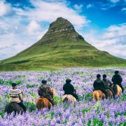 Iceland – Land Only