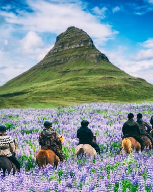 Iceland – Land Only